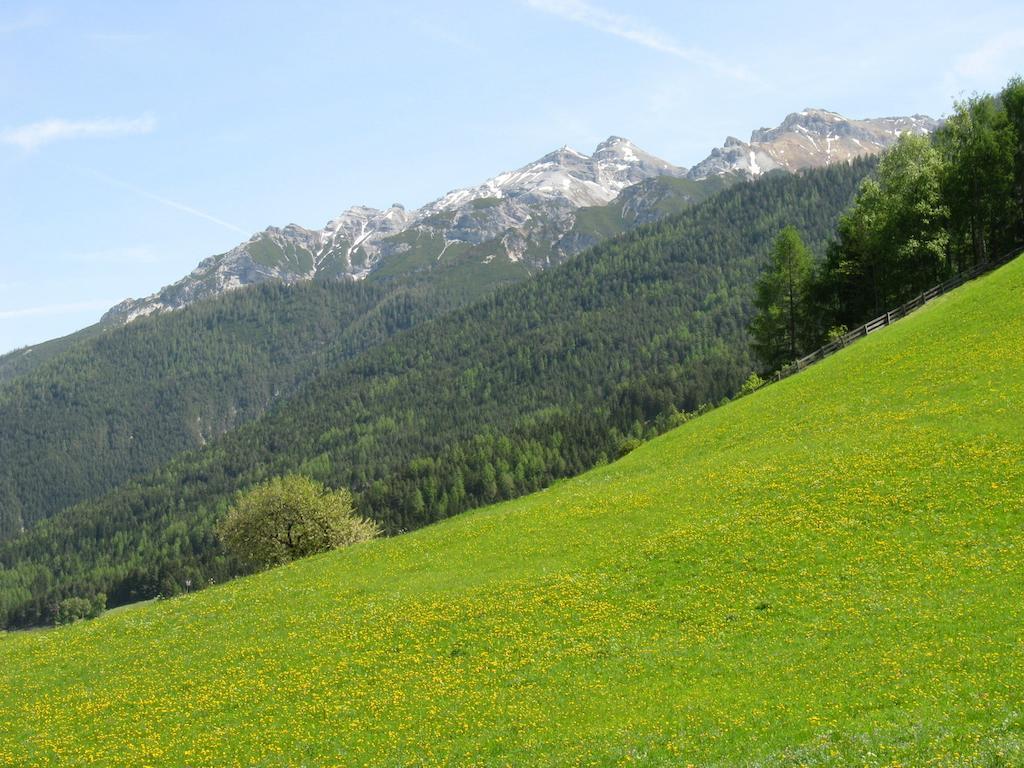 Ferienwohnung Halder Neustift im Stubaital Exterior foto