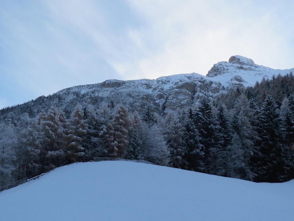 Ferienwohnung Halder Neustift im Stubaital Exterior foto